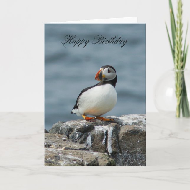 Puffin Birthday Greeting Card (Front)