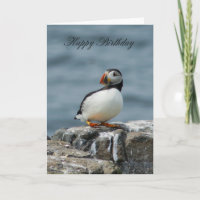 Puffin Birthday Greeting Card