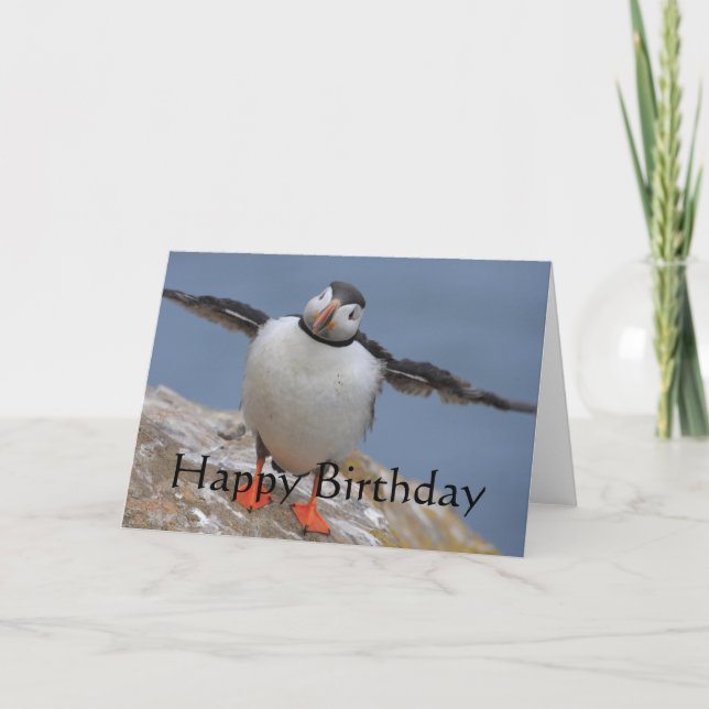 Puffin Birthday Greetings Card (Front)