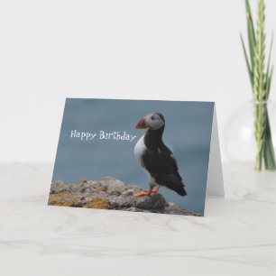 Puffin Birthday Greetings Card