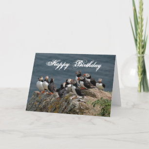 Puffin Birthday Greetings Card