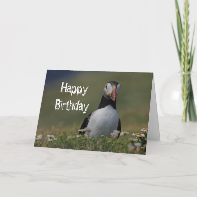 Puffin Birthday Greetings Card (Front)