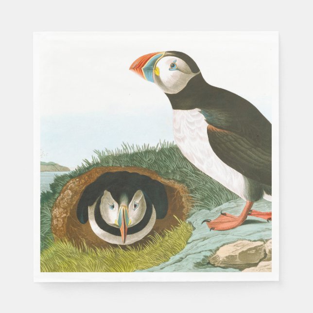 Puffin by John James Audubon Napkin (Front)