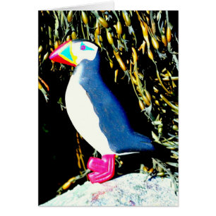 puffin card