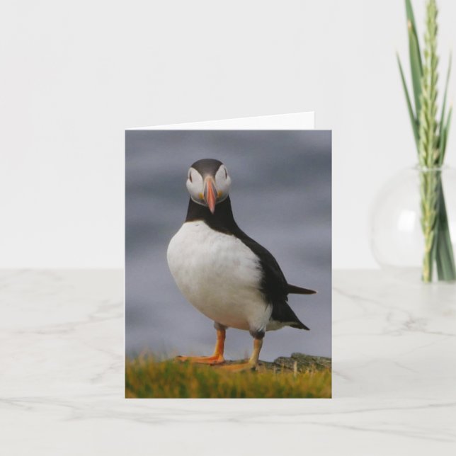 Puffin Card (Front)