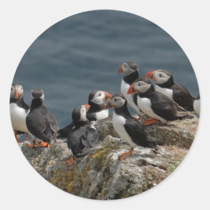 Puffin Classic Round Sticker