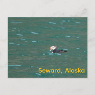 Puffin eating fish holiday postcard