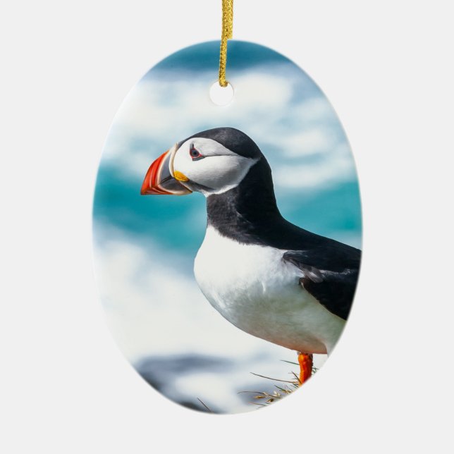 Puffin Fratercula arctica  at Látrabjarg, Iceland. Ceramic Ornament (Front)