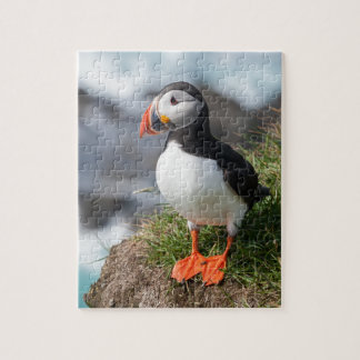 Puffin  Fratercula arctica  at Látrabjarg  Iceland Jigsaw Puzzle