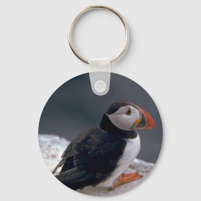Puffin, Fratercula artica Key Ring (Front)