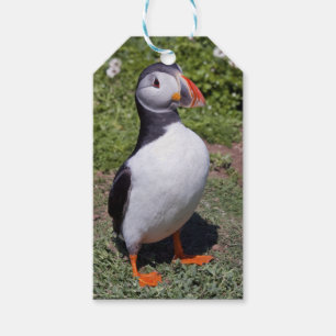 Puffin Gift Tags