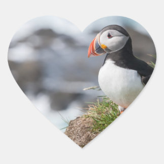 Puffin Heart Sticker