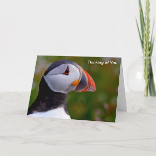 Puffin image for card