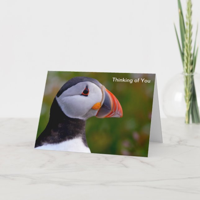 Puffin image for card (Front)
