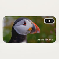 Puffin image for iPhone / iPad case