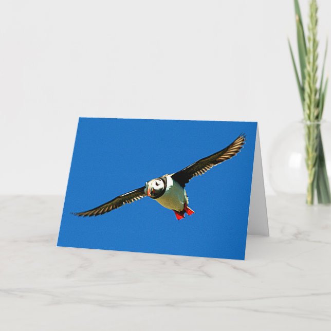 Puffin in Flight Card (Front)