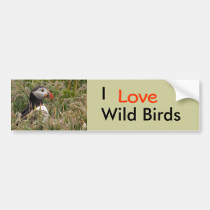 Puffin in Grass Bumper Sticker