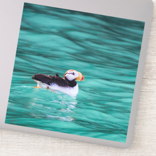 Puffin In Resurrection Bay, Alaska