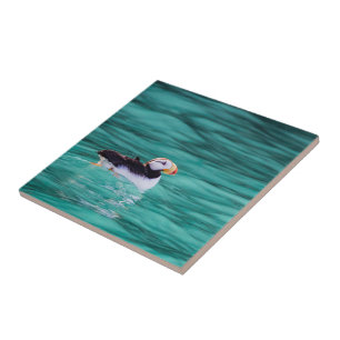 Puffin In Resurrection Bay, Alaska Ceramic Tile