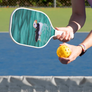 Puffin In Resurrection Bay, Alaska Pickleball Paddle