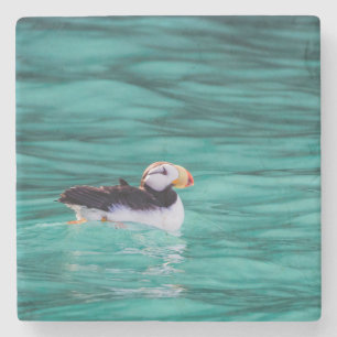 Puffin In Resurrection Bay, Alaska Stone Coaster