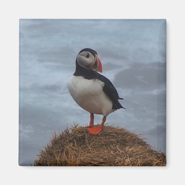 Puffin in the Mist Fridge Magnet (Front)