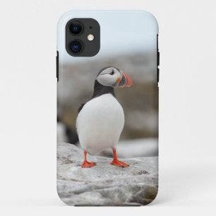 Puffin Iphone Case 5