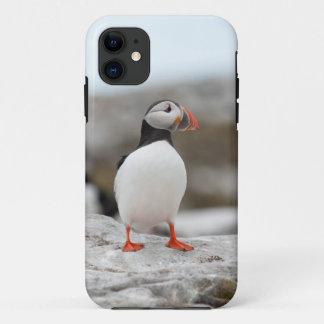 Puffin Iphone Case 5