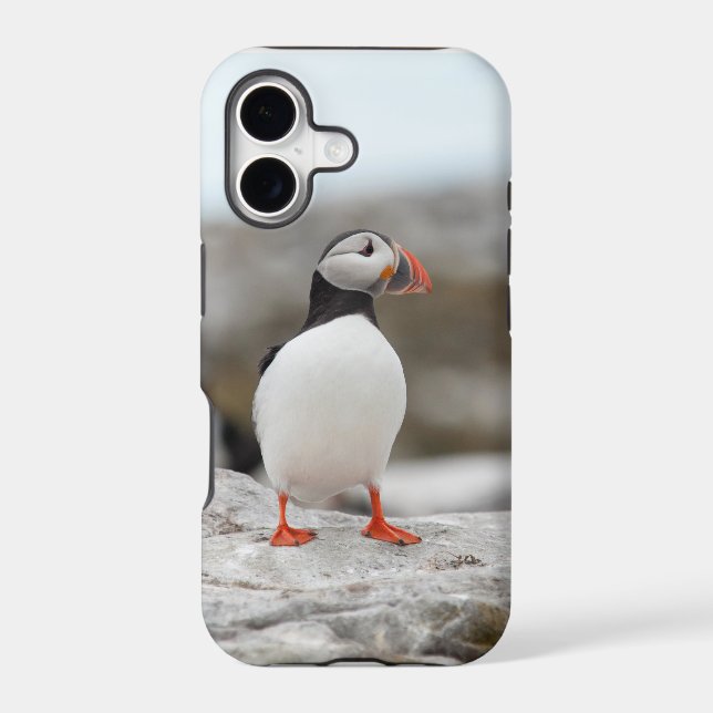 Puffin Iphone Case 5 (Back)