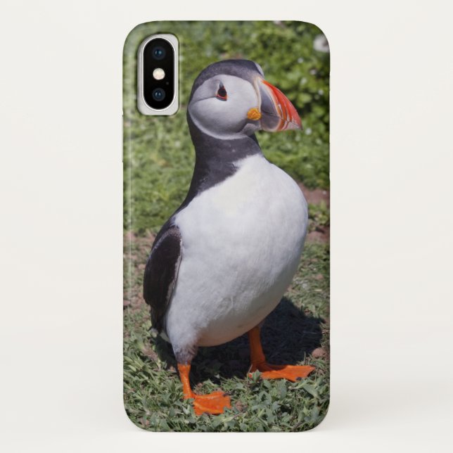 Puffin iPhone X Case (Back)