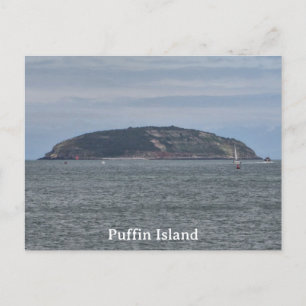 Puffin Island Postcard