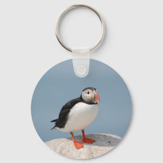 Puffin keychain