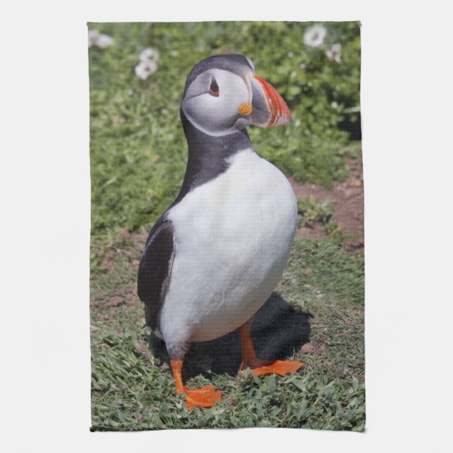 Puffin Kitchen Towel (Vertical)