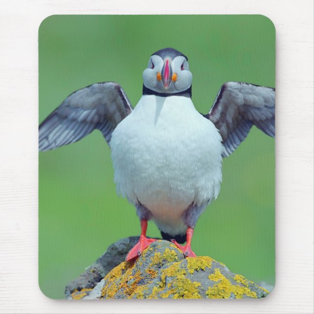 Puffin Mouse Pad (Front)