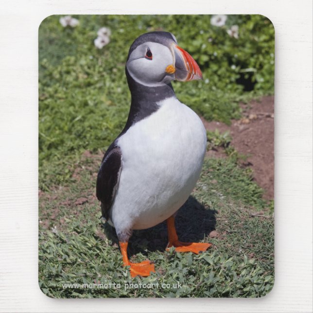 Puffin Mousemat (Front)