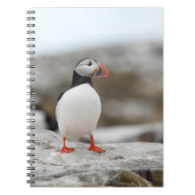 Puffin Notebook