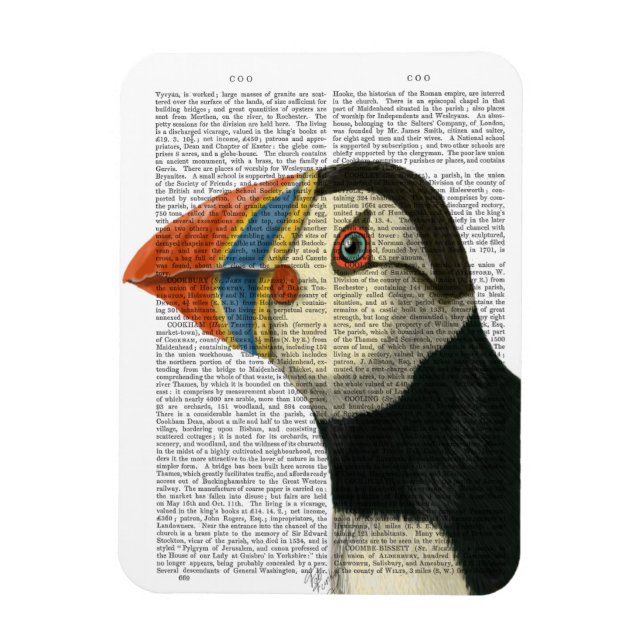Puffin Portrait Magnet (Vertical)