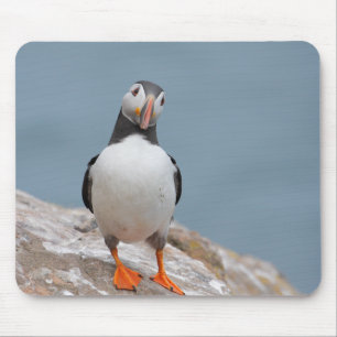 Puffin Pose Mouse Pad