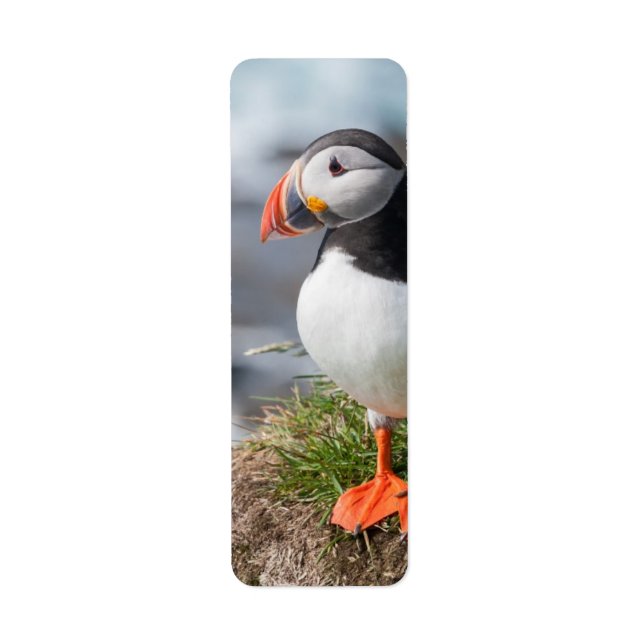 Puffin Return Address Label (Front)