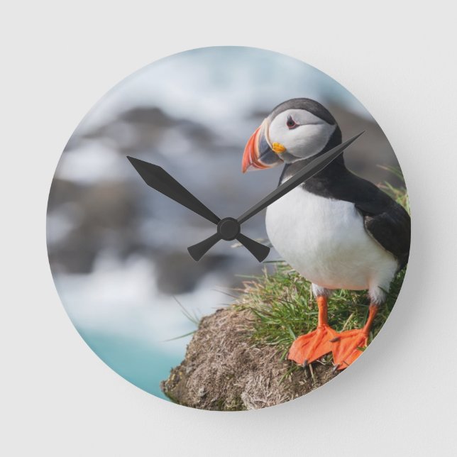 Puffin Round Clock (Front)