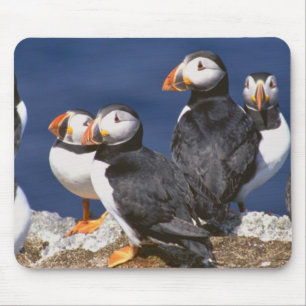 Puffin-tastic Mouse Pad