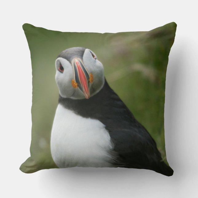 Puffin throw pilows cushion (Front)