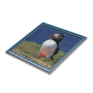 Puffin Tile