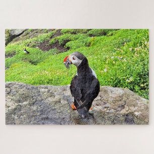 Puffin with fish in its beak, Ireland  Jigsaw Puzzle