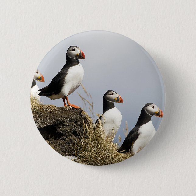 Puffins 6 Cm Round Badge (Front)