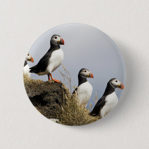 Puffins 6 Cm Round Badge