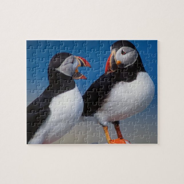 Puffins Game Puzzle (Horizontal)