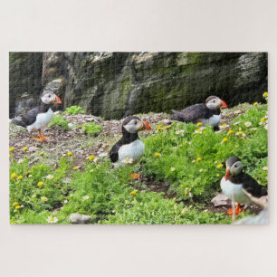 Puffins' island Paradise, Ireland Jigsaw Puzzle