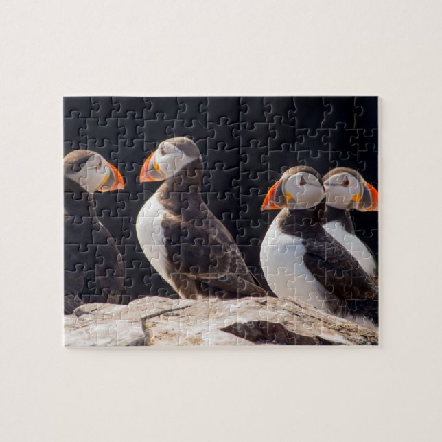 Puffins Jigsaw Puzzle (Horizontal)