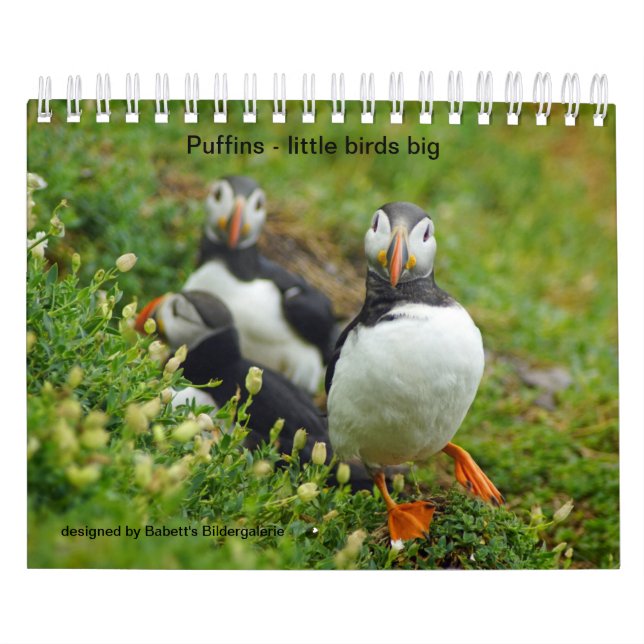 Puffins - little birds big calendar (Cover)